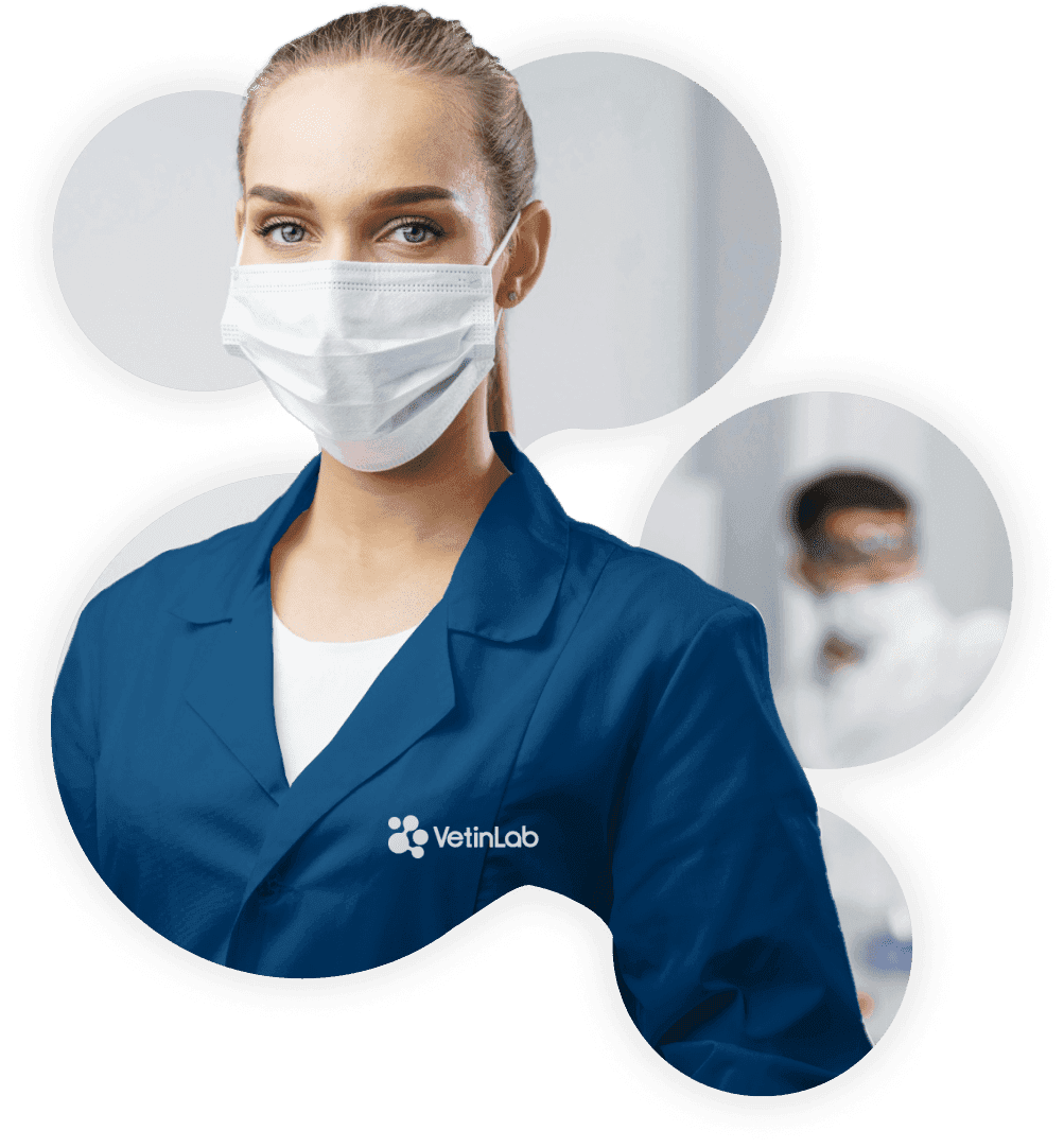 VetinLab